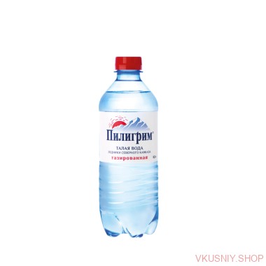 &quot;Пилигрим&quot; 0,5л  газ ПЭТ — Интернет-магазин доставки продуктов и воды ВКУСНЫЙ