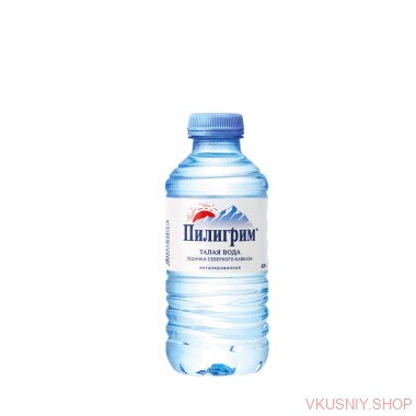 &quot;Пилигрим&quot; 0,25л  негаз ПЭТ — Интернет-магазин доставки продуктов и воды ВКУСНЫЙ