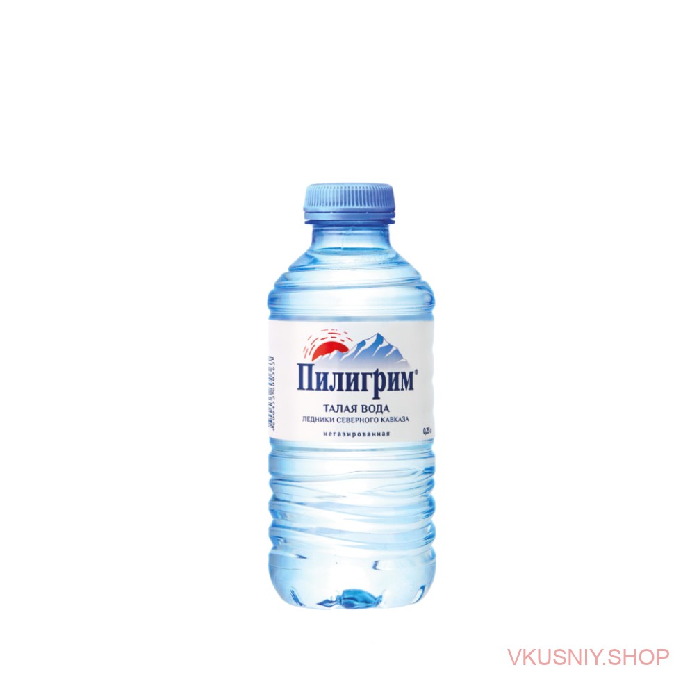 "Пилигрим" 0,25л  негаз ПЭТ фото 1 — Интернет-магазин доставки продуктов и воды ВКУСНЫЙ