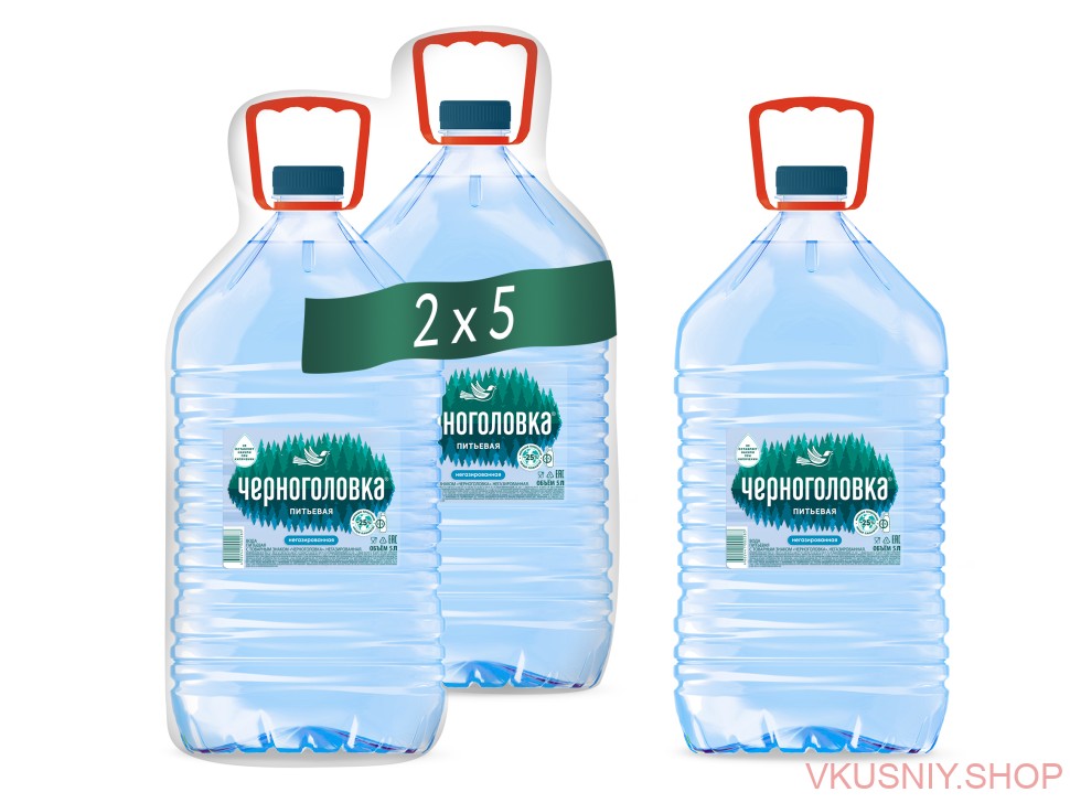 Вода "Черноголовка" негаз 5 литров фото 1 — Интернет-магазин доставки продуктов и воды ВКУСНЫЙ