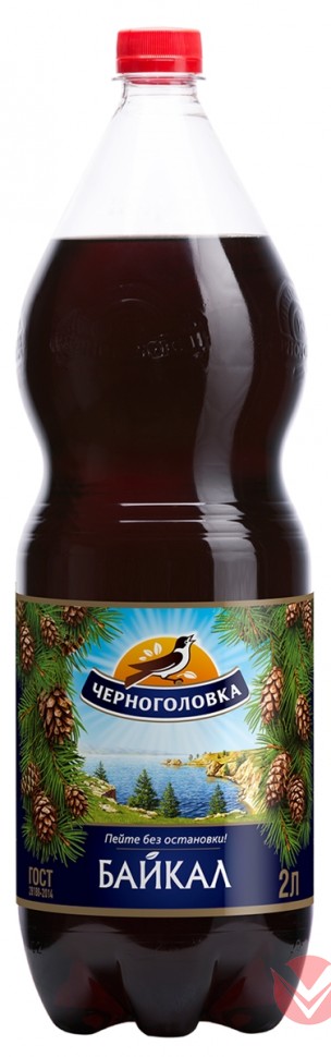 Газированный напиток НАПИТКИ ИЗ ЧЕРНОГОЛОВКИ Байкал, 2л фото 1 — Интернет-магазин доставки продуктов и воды ВКУСНЫЙ