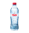 Вода питьевая "Тбау", 0,5 л  (без газа), ПЭТ фото 1 &mdash; Интернет-магазин доставки продуктов и воды ВКУСНЫЙ