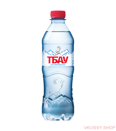 Вода питьевая &quot;Тбау&quot;, 0,5 л  (без газа), ПЭТ — Интернет-магазин доставки продуктов и воды ВКУСНЫЙ