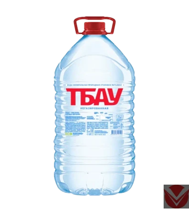 Вода питьевая &quot;Тбау&quot;, 5л,  ПЭТ — Интернет-магазин доставки продуктов и воды ВКУСНЫЙ